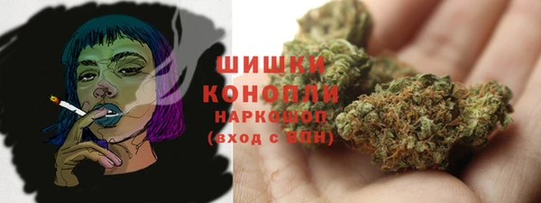 твердый Богданович