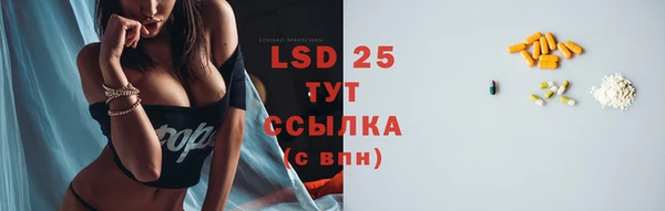 твердый Богданович
