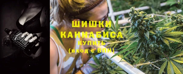 твердый Богданович